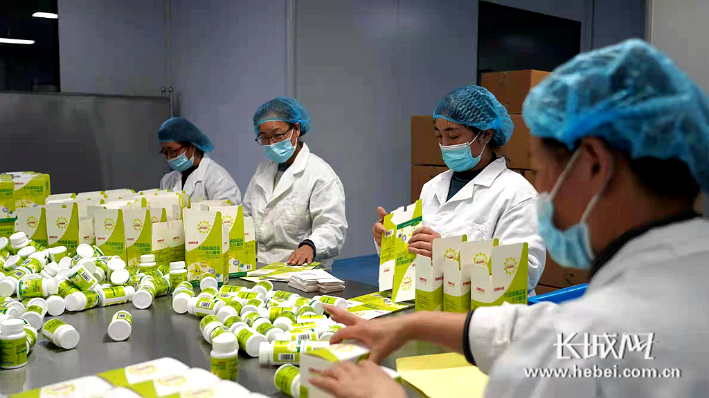 晨光生物旗下邯鄲晨光公司 保健食品固體制劑車間茶葉制品生產探析